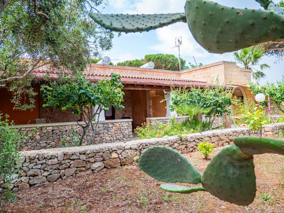 Agriturismo Masseria Alcorico غاليانو دل كابو المظهر الخارجي الصورة