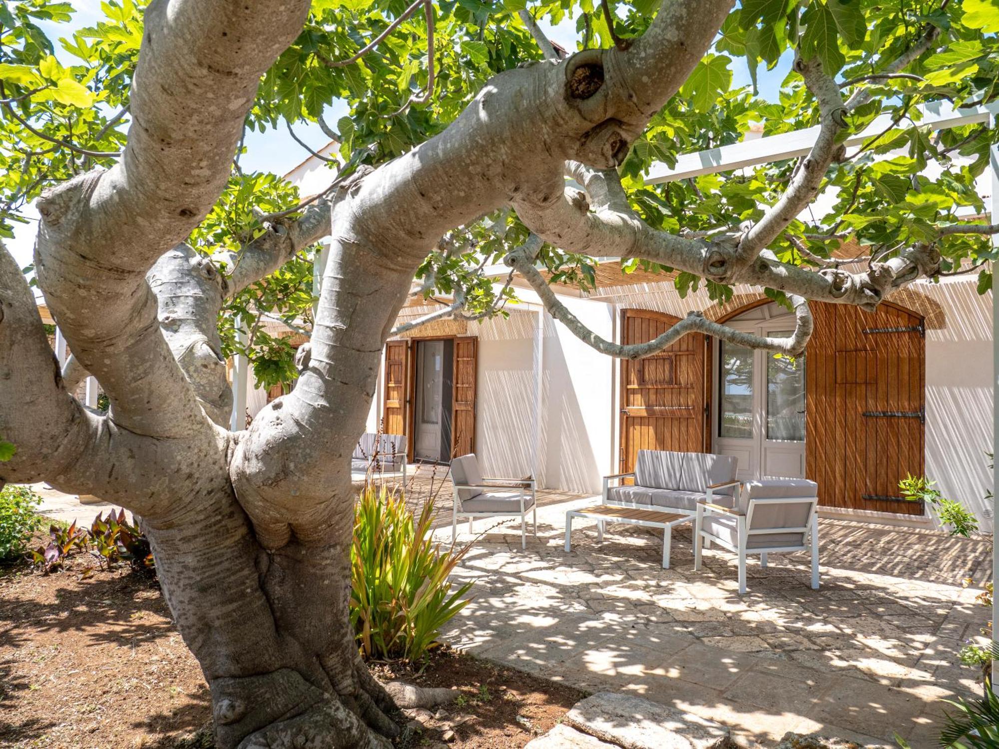 Agriturismo Masseria Alcorico غاليانو دل كابو المظهر الخارجي الصورة